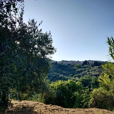 Il Rusticano Chianni
