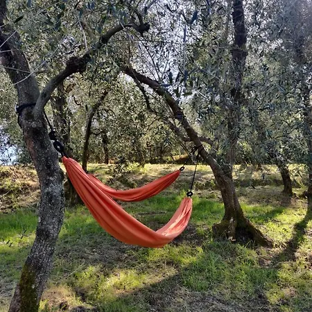 Il Rusticano *