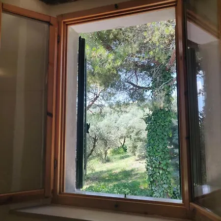 Il Rusticano Apartment *