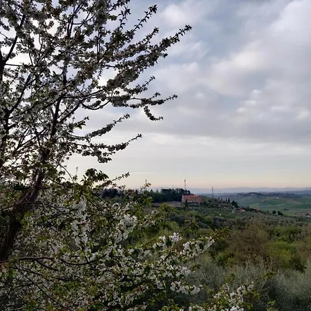 Il Rusticano * Chianni