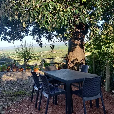 Apartment Il Rusticano Chianni