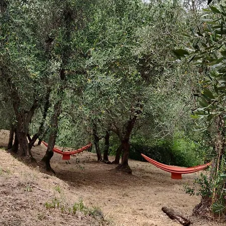 Il Rusticano Chianni