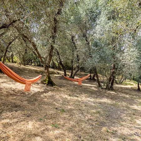 Il Rusticano Chianni