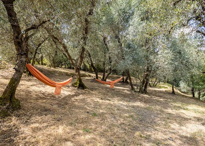 Il Rusticano Chianni